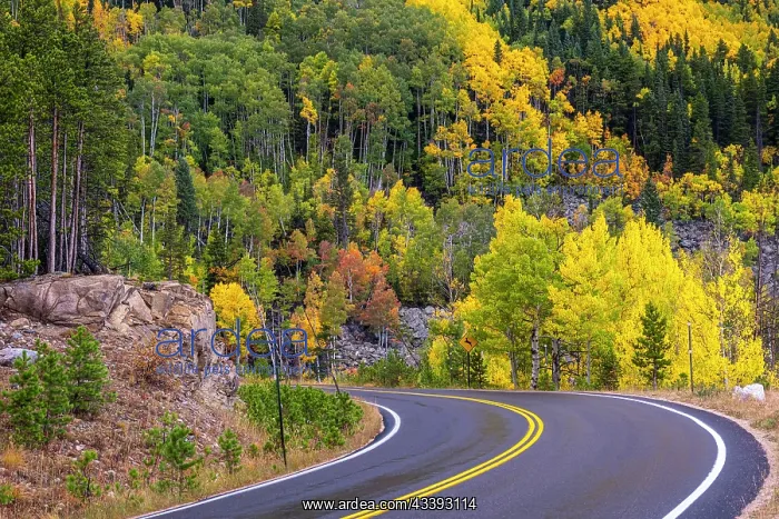 : Road, fall colors. Colorado : Road, fall colors. Colorado