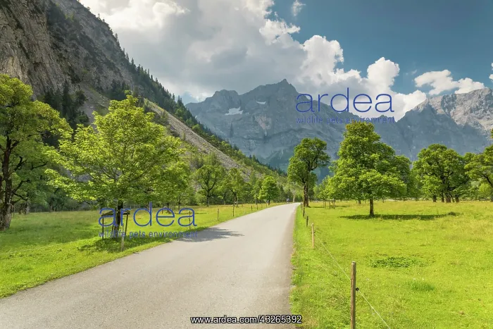 : Road to Hinterri&, x7ec; Gro&, x7e5;r Ahornboden in : Road to Hinterri&, x7ec; Gro&, x7e5;r Ahornboden in