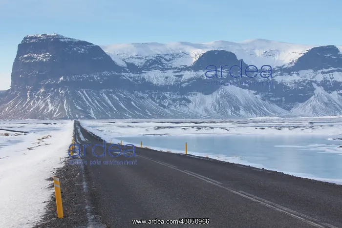 : Road Iceland Ringroad in snowy landscape South Iceland : Road Iceland Ringroad in snowy landscape South Iceland
