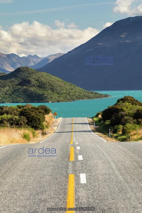  : Road at Lake Wakatipu, Queenstown, Otago, South