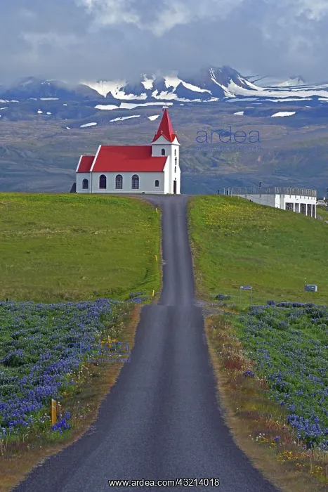 : Road leads to the church of Ingjaldshnll behind : Road leads to the church of Ingjaldshnll behind