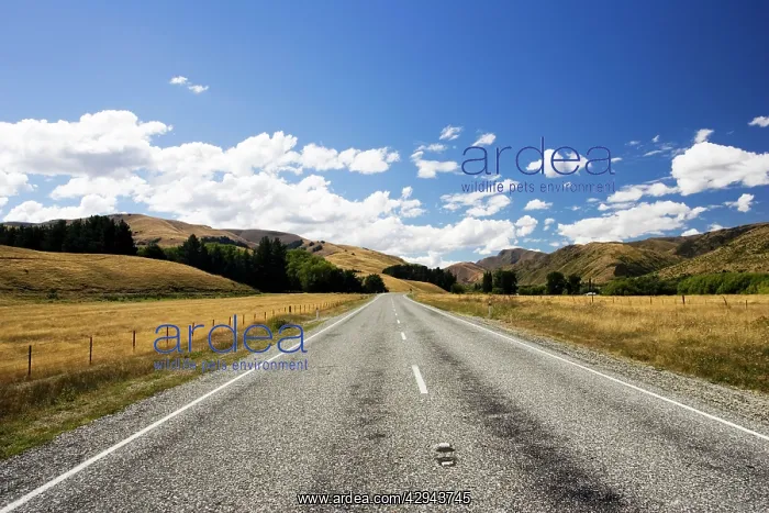 : Road - long straight deserted tarmac paved road