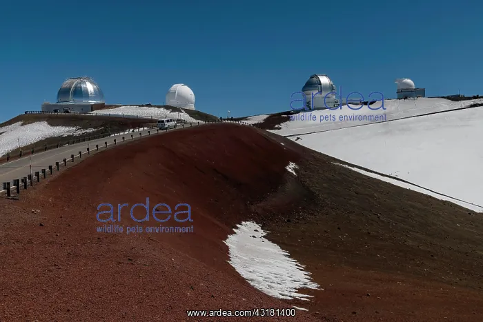 : Road to Mauna Kea Gemini Observatory, Mauna Kea : Road to Mauna Kea Gemini Observatory, Mauna Kea