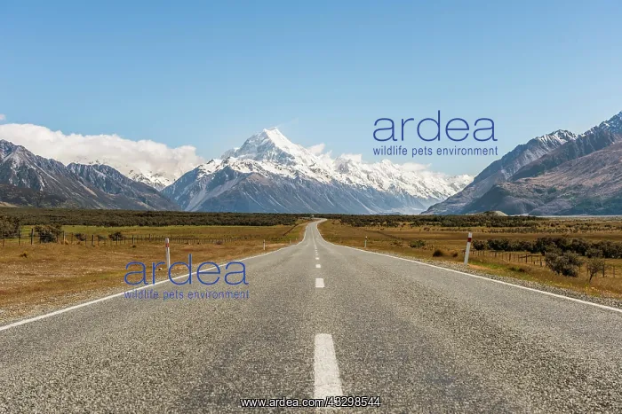 : Road to Mount Cook, Mount Cook National Park, Southern : Road to Mount Cook, Mount Cook National Park, Southern