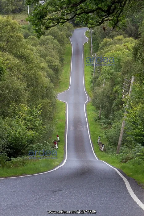 : Road - with passing places : Road - with passing places