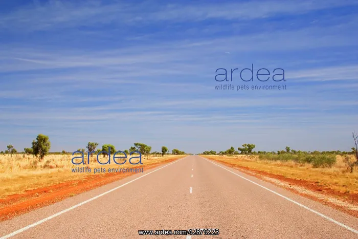  : Road to nowhere - a perfectly straight bitumen