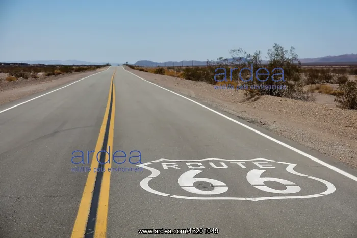 : Road Route 66 near Needles, Mojave Desert, California : Road Route 66 near Needles, Mojave Desert, California