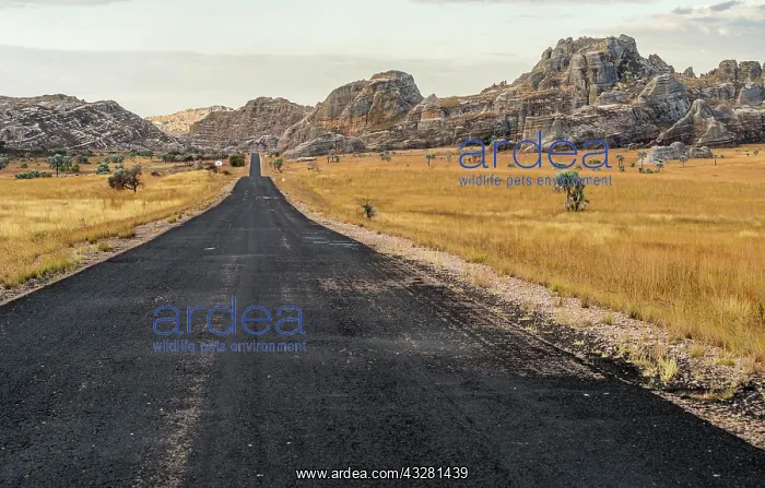 : Road Route National 7 RN7 in front of rock formations : Road Route National 7 RN7 in front of rock formations