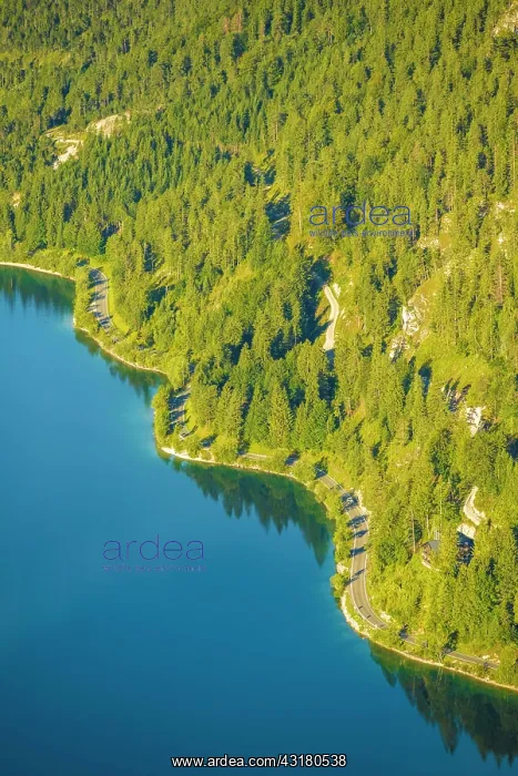 : Road on the shore of Plansee, Wald, Reutte, Tyrol : Road on the shore of Plansee, Wald, Reutte, Tyrol