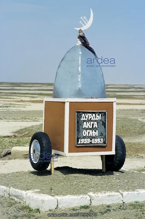  : Road-side monument for a car-accident victim (usually
