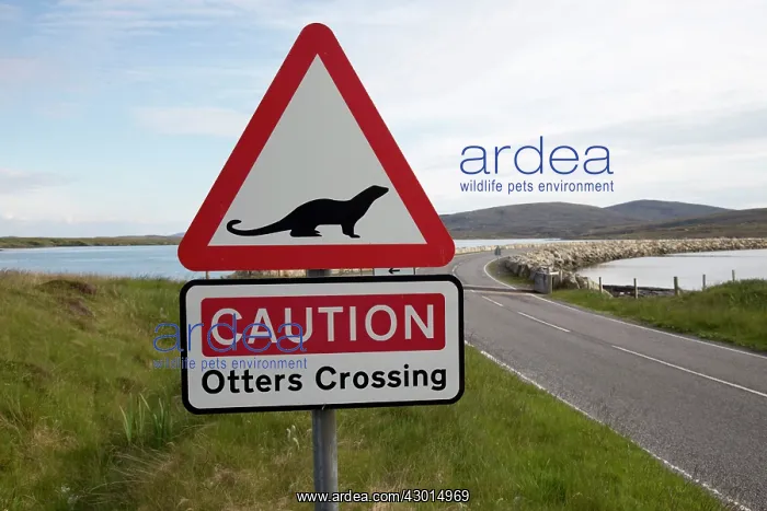 : Road Sign beware Otters crossing. Causeway, North Uist, Outer Hebrides, Scotland : Road Sign beware Otters crossing. Causeway, North Uist, Outer Hebrides, Scotland