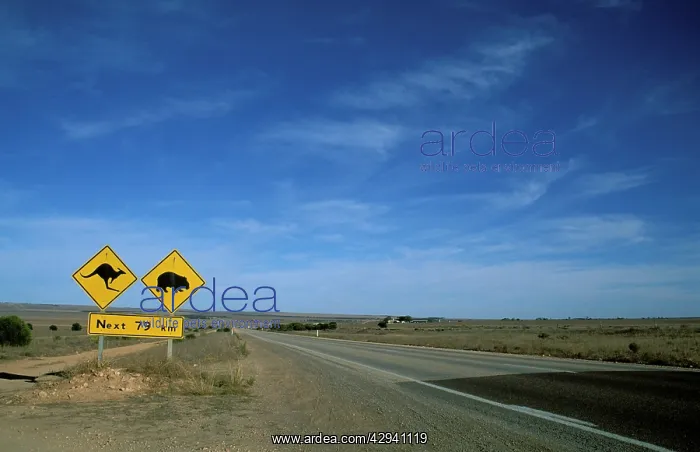 : Road sign: Kangaroos and wombats, next 92 km.Eyre : Road sign: Kangaroos and wombats, next 92 km.Eyre