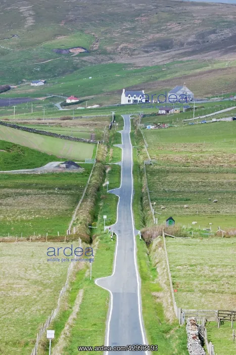 : Road - single track road with passing places : Road - single track road with passing places