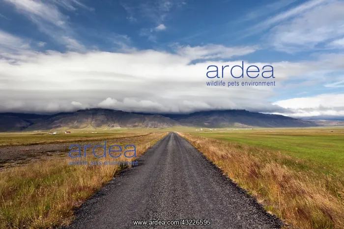 : Road, Snaefellsnes Peninsula, Iceland : Road, Snaefellsnes Peninsula, Iceland
