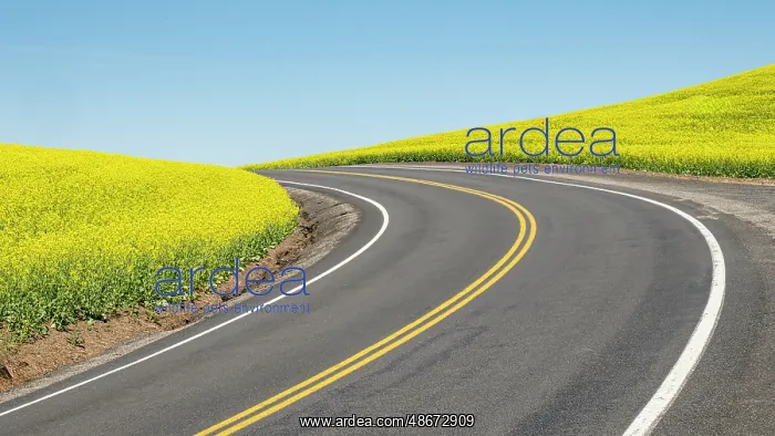 : Road splitting canola field with matching yellow center : Road splitting canola field with matching yellow center