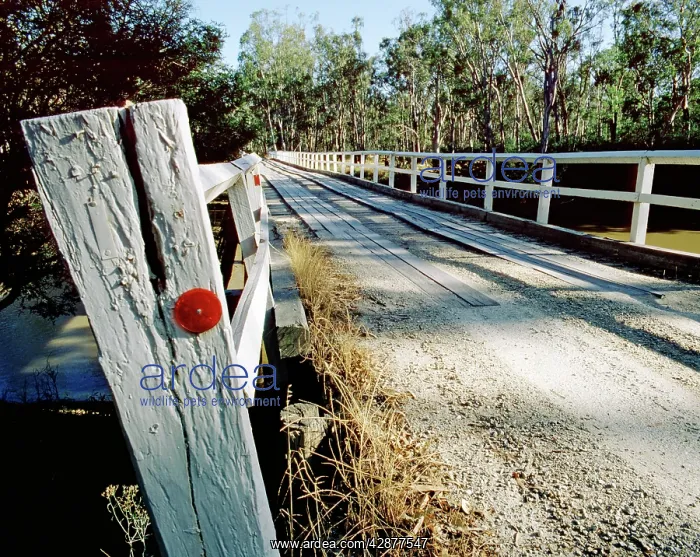 : Road across Stewarts Bridge and the Goulburn River : Road across Stewarts Bridge and the Goulburn River