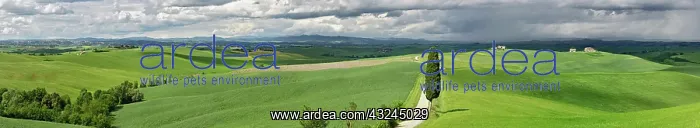 : Road winding through agricultural region : Road winding through agricultural region
