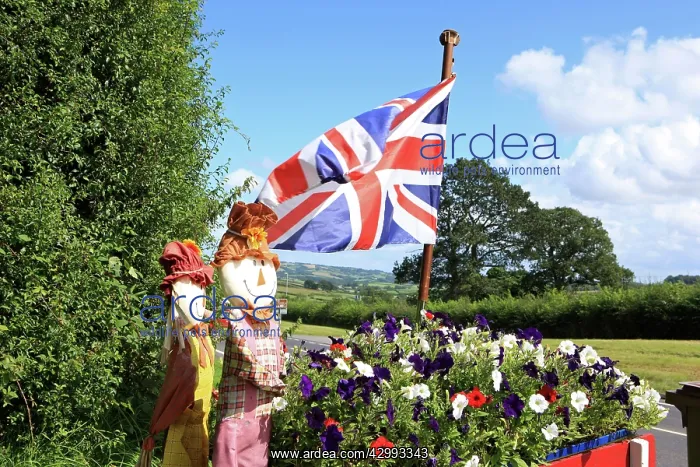 : Roadside Flower Display : Roadside Flower Display
