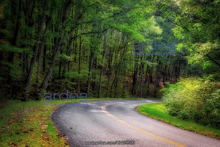 : Roadway, Blue Ridge Parkway, Smoky Mountains, USA : Roadway, Blue Ridge Parkway, Smoky Mountains, USA