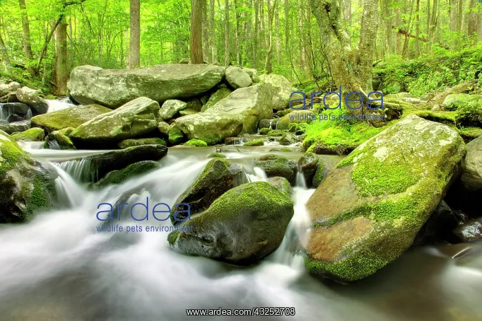 : Roaring Fork River, Roaring Fork Motor Nature : Roaring Fork River, Roaring Fork Motor Nature