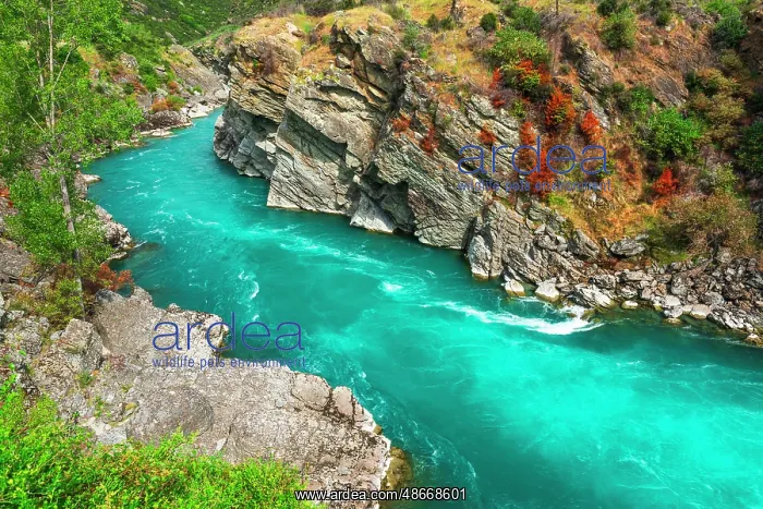  : The Roaring Meg in Kawarau Gorge, Otago, South Island, New