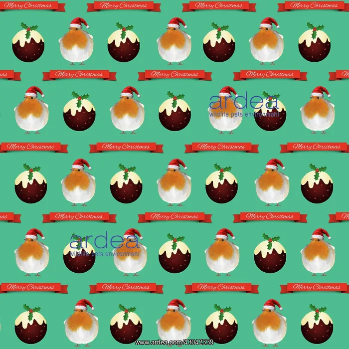 : Robin with Christmas hat and Christmas pudding : Robin with Christmas hat and Christmas pudding