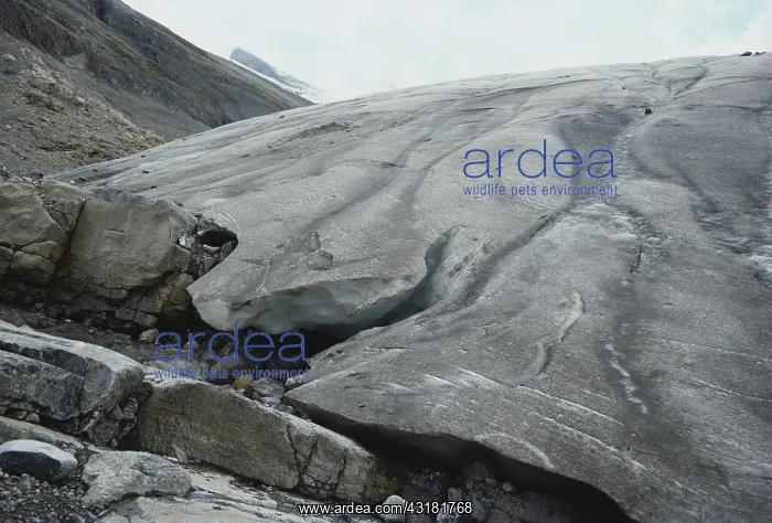 : Robson Glacier : Robson Glacier