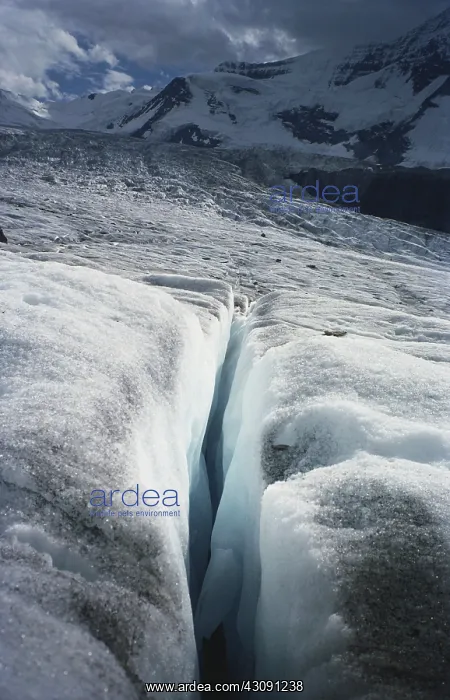: Robson Glacier Crevasse : Robson Glacier Crevasse