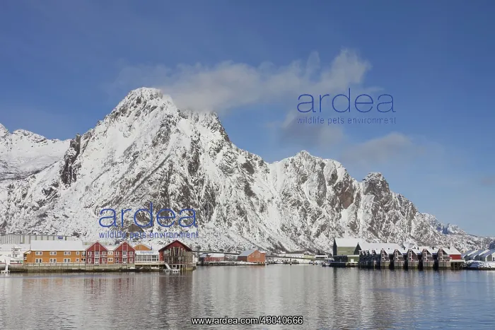  : Robur Cottages