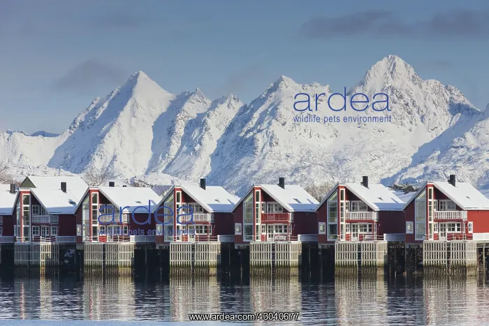  : Robur Cottages