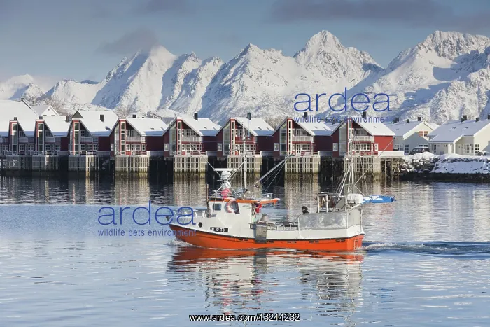  : Robur Cottages