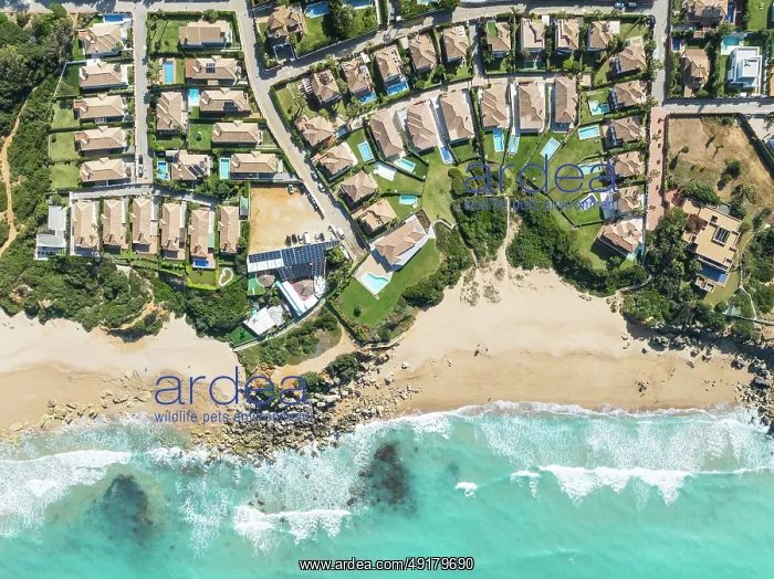 : The Roche housing estate at the Mediterranean Sea : The Roche housing estate at the Mediterranean Sea