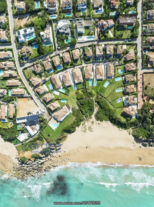 : The Roche housing estate at the Mediterranean Sea : The Roche housing estate at the Mediterranean Sea