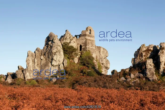  : Roche Rock