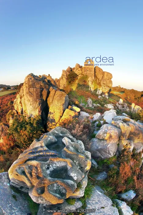  : Roche Rock