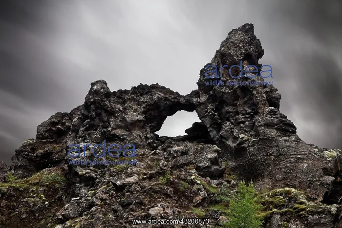 : Rock arch in lava rock, Dimmuborgir National Park : Rock arch in lava rock, Dimmuborgir National Park