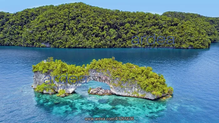 : Rock arch, Palau lagoon, drone photo, Micronesia : Rock arch, Palau lagoon, drone photo, Micronesia
