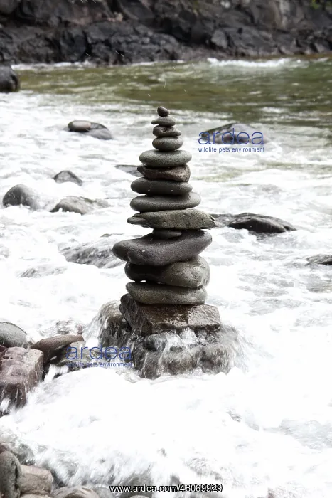 : Rock Art. Rock art found on the shore of Isle Royal : Rock Art. Rock art found on the shore of Isle Royal