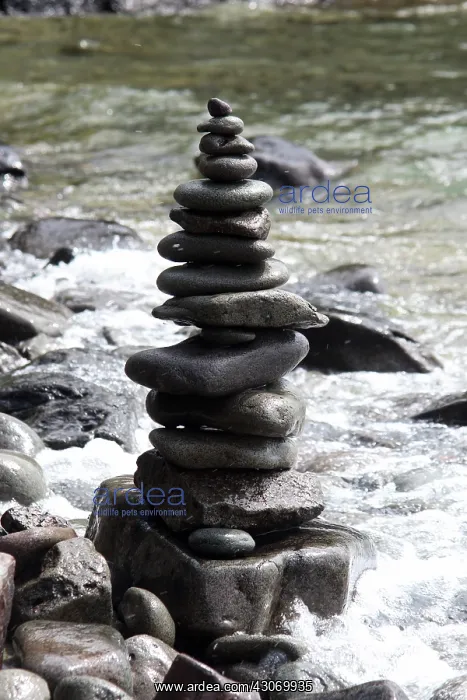 : Rock Art. Rock art found on the shore of Isle Royal : Rock Art. Rock art found on the shore of Isle Royal