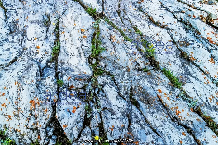  : Rock art in Glacier National Park, Montana, USA. (Editorial