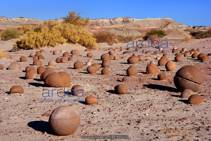  : Rock Balls - prehistoric geological rocks at a