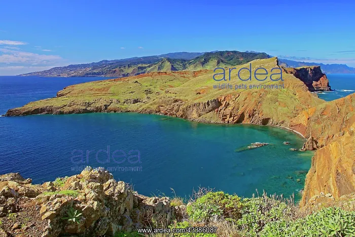 : Rock Bay, East Coast, Atlantic Ocean, Nature Res : Rock Bay, East Coast, Atlantic Ocean, Nature Res