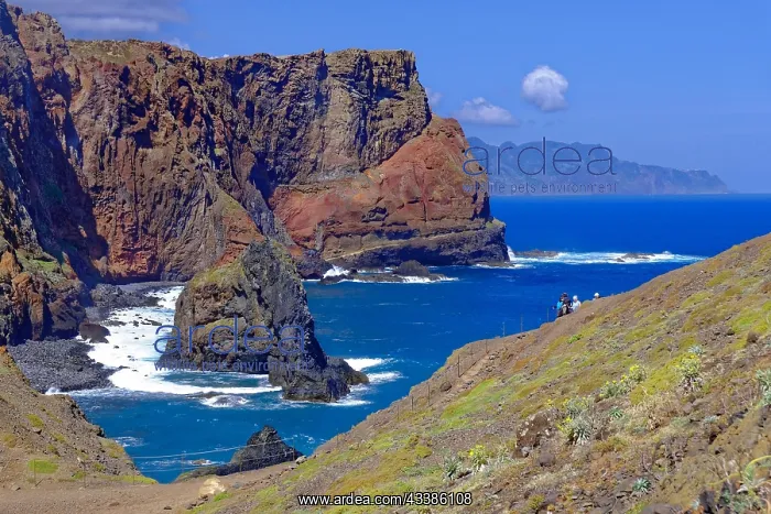 : Rock Bay, East Coast, Atlantic Ocean, Nature Res : Rock Bay, East Coast, Atlantic Ocean, Nature Res