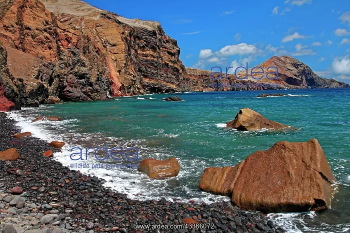: Rock bay, pebble beach, east coast, Atlantic Oce : Rock bay, pebble beach, east coast, Atlantic Oce