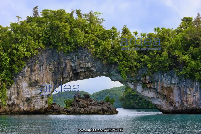 : Rock bridge, Rock Islands, Palau : Rock bridge, Rock Islands, Palau