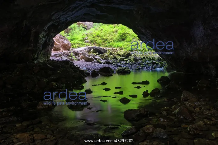 : Rock bridge in the Zelske Jama cave, Rak river : Rock bridge in the Zelske Jama cave, Rak river