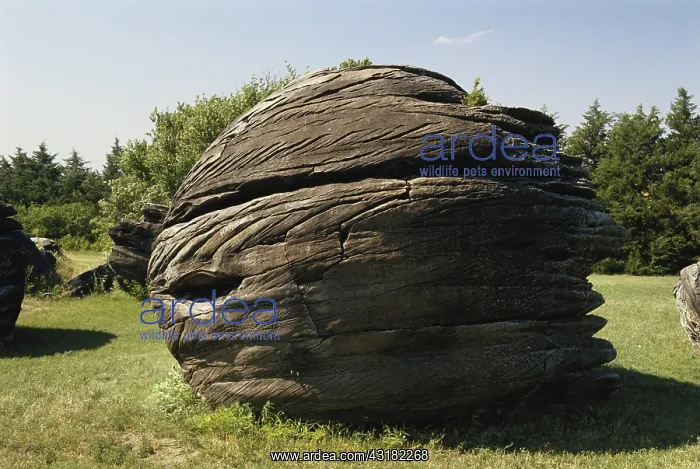 : Rock City, Kansas : Rock City, Kansas