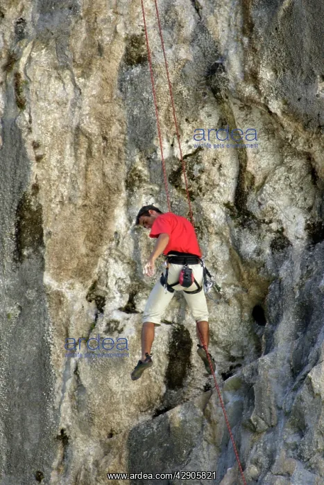 : Rock Climber - Climbing in Picos de Europa mountains : Rock Climber - Climbing in Picos de Europa mountains