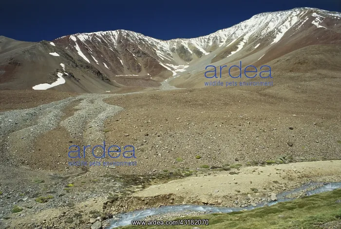 : Rock Deposits in Chile : Rock Deposits in Chile