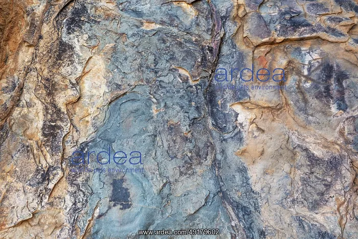 : Rock detail. Damaraland, Namibia : Rock detail. Damaraland, Namibia